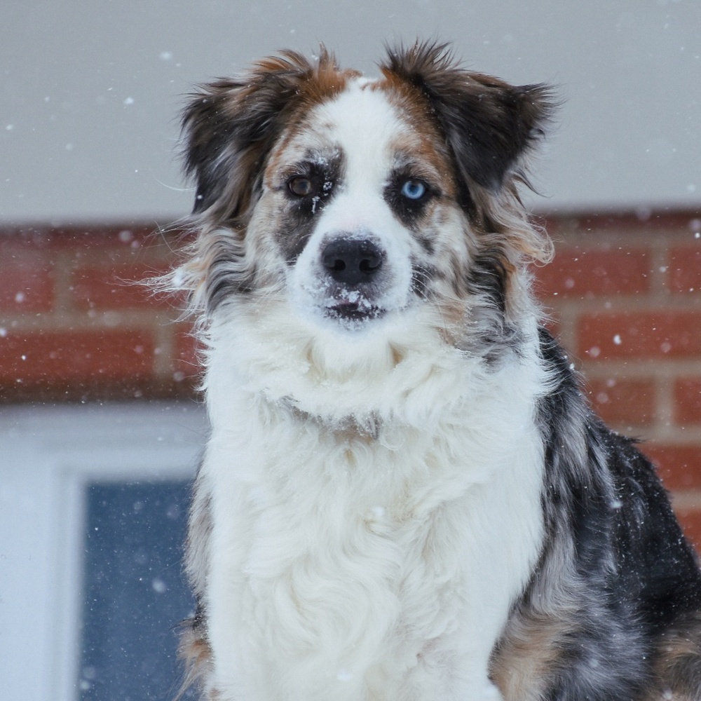 Meet your Posher, Jenelle